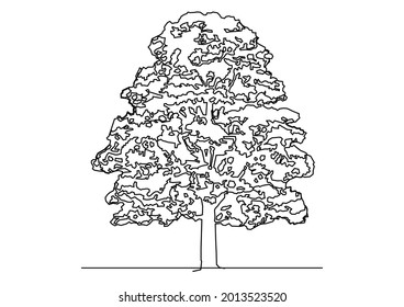 Tree sketch vector design for shelter