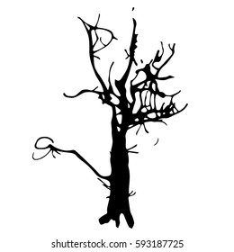 Tree sketches