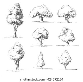 tree sketches set 260nw 424392184