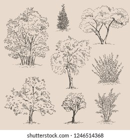 Tree sketches set. Vector illustration.