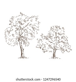 Tree sketches set. Vector illustration.