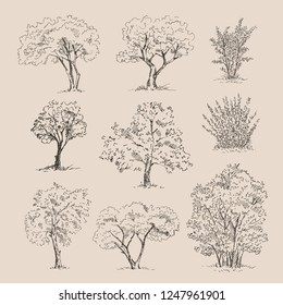 Tree sketches set. Vector illustration.