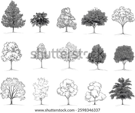 Tree Sketches, Vector Illustration on White Background.
