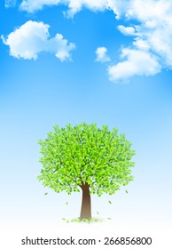 Tree sky background