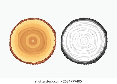 tree slice realistic design on white back