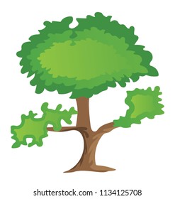 
A tree with small circular leaf and branches structure is pinus bonsai  
