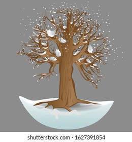 A tree in the snow. Winter tree. Vector illustration