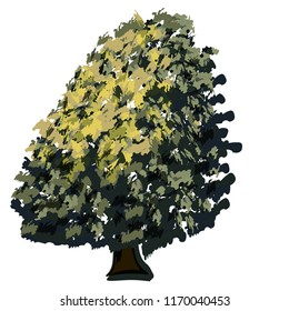 Tree with soft foliage vector