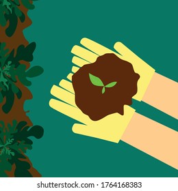 A tree with soil in the hands of humans Vector illustration in top view design