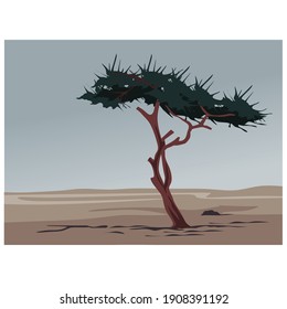 The Ténéré Tree was a solitary acacia, of either Acacia raddiana or Acacia tortilis, that was once considered the most isolated tree on Earth