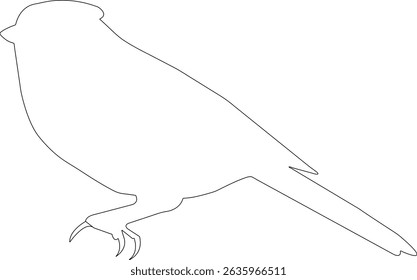 tree sparrow outline silhouette Vector