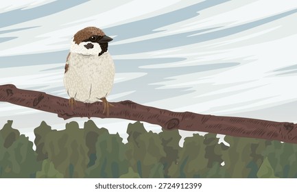 A tree sparrow sits on a thin tree branch against the background of the sky and green tops of forest trees. Realistic vector landscape.