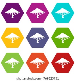 Tree with a spreading crown icon set many color hexahedron isolated on white vector illustration