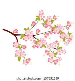 Tree spring pink cherry