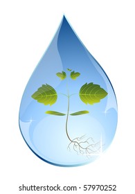 Tree sprout in water drop.
