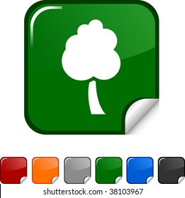 tree  sticker icon. Vector illustration.
