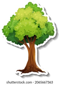 Tree sticker on white background illustration
