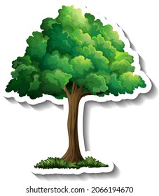 Tree sticker on white background illustration