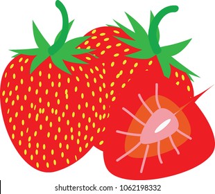 The tree strawberries.