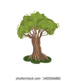 Tree with a striped trunk. Vector illustration on white background.