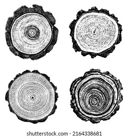 Tree stump circle rings. Wood log silhouette print.