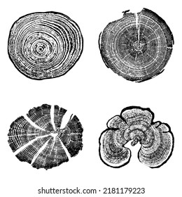 Tree stump circle rings. Wood log silhouette print. svg