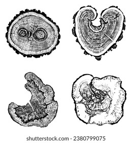 Tree stump circle rings. Wood log silhouette print.