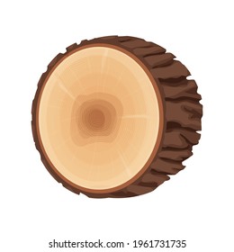 Tree stump, cross section of tree, textured, detailed isolated on white background in flat cartoon style. Cut round trunk with rings.