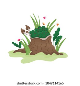 Tree stump with greens and butterflies isolated on white background