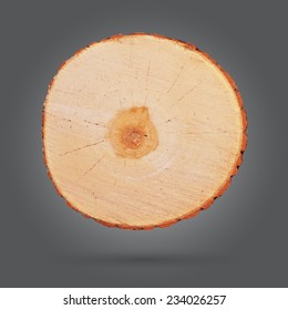 tree stump isolated on gray background 