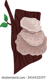 Tree stump with mushrooms and green leaf. Forest, natural wooden textures and organic shapes vector illustration.