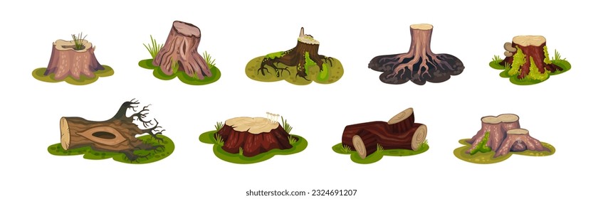 Tree Stump and Old Forest Stub on Green Grass Vector Set