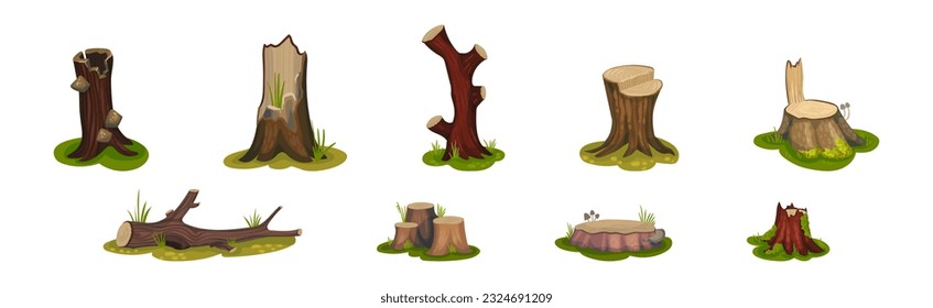 Tree Stump and Old Forest Stub on Green Grass Vector Set