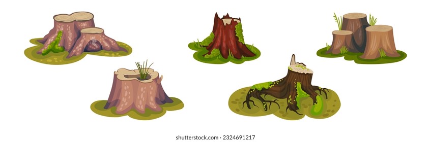 Stump de árbol y Stube de bosque antiguo en conjunto de vectores de hierba verde