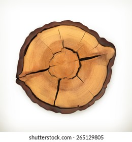 Tree stump, round cut with annual rings vector
