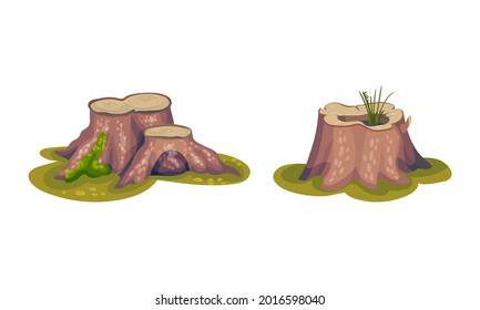Tree Stump as Small Part of Trunk with Roots in the Ground Vector Set