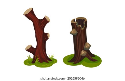 Tree Stump as Small Part of Trunk with Roots in the Ground Vector Set