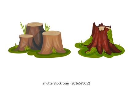Tree Stump as Small Part of Trunk with Roots in the Ground Vector Set