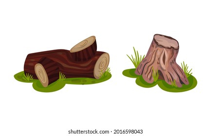 Tree Stump and Snag with Dry Branches as Coarse Woody Debris Vector Set
