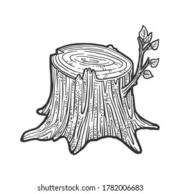 Tree Stump With Sprout Sketch Engraving Vector Illustration. T-shirt Apparel Print Design. Scratch Board Imitation. Black And White Hand Drawn Image.