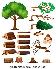 Tree and stump trees illustration