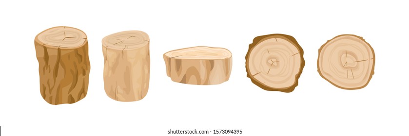 Tree stumps and logs vector illustrations set. Tree trunk parts top and side view. Felled forest, industrial wood, building material. Firewood, constructing stuff, lumber isolated on white background. - Shutterstock ID 1573094395