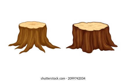 Tree stumps set. Nature objects cartoon vector illustration