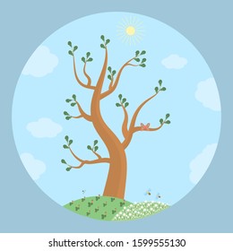 The tree is in summer against the blue sky.