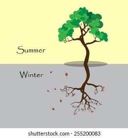 Tree in summer and winter. Vector illustration.