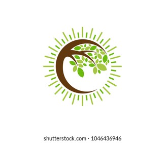 Tree Sun Icon Logo Design Element