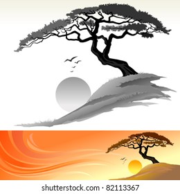 TREE AND SUN LANDSCAPE