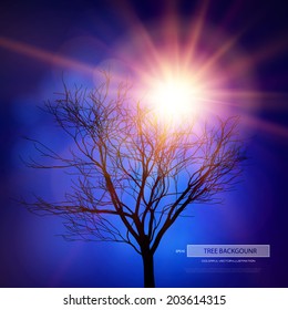 Tree & sun. Vector illustration