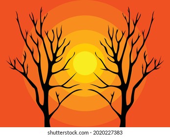 tree, sunset background, sunrise background, autumn