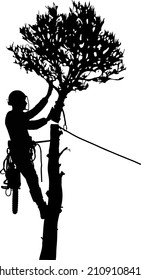 Tree Surgeon sawing a tree